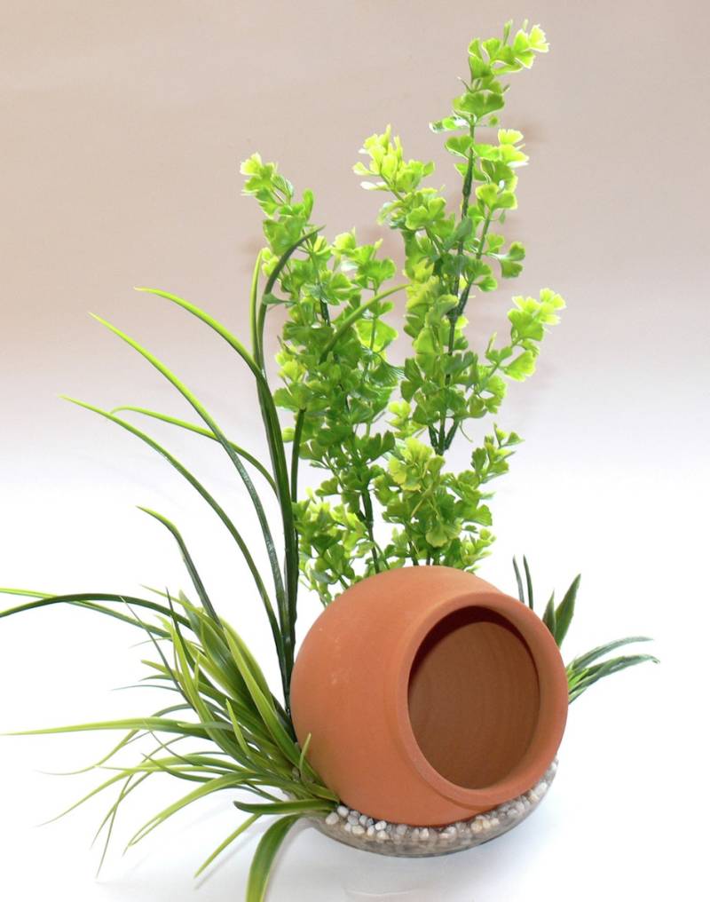 Sydeco Jar Plant 35 Zentimeter Aquariendekoration von Sydeco