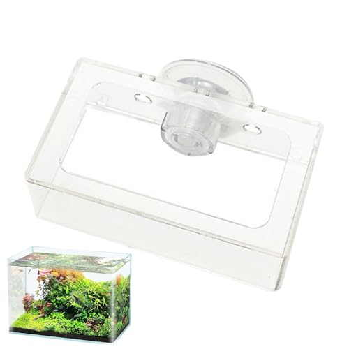Syengery Fischfuttermittel, Fischtank -Fütterungsschüssel | Nonrutschfischtank-Feeder mit Saugnapfbecher | Drehen Sie langsame Vorschubplatten, Acryl -Lebensmittelhalter für Aquarium Syengery Fischfuttermittel, Fischtank -Fütterungsschüssel | Nonrutschfischtank-Feeder mit Saugnapfbecher | Drehen Sie langsame Vorschubplatten, Acryl -Lebensmittelhalter für Aquarium von Syengery