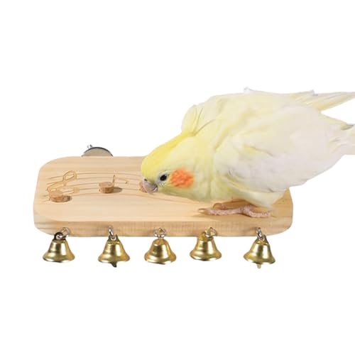 Syengery Flache Vogel Sitzstange - Vogelschaukeln Spielzeug Käfigstangen Übungsstände,Natürliches Zubehör Mit Glöckchen Für Kleintiere Und Vögel Balkon Terrasse Syengery Flache Vogel Sitzstange - Vogelschaukeln Spielzeug Käfigstangen Übungsstände,Natürliches Zubehör Mit Glöckchen Für Kleintiere Und Vögel Balkon Terrasse von Syengery
