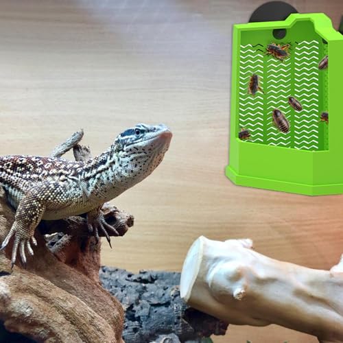 Syengery Gecko Futternapf | Futter Napf Haftnapf Für Terrarium | Kletterfutterspender Für Echse Schlange Schildkröte Einsiedlerkrebs | Terrarien Haustier Besitzer Züchter Syengery Gecko Futternapf | Futter Napf Haftnapf Für Terrarium | Kletterfutterspender Für Echse Schlange Schildkröte Einsiedlerkrebs | Terrarien Haustier Besitzer Züchter von Syengery