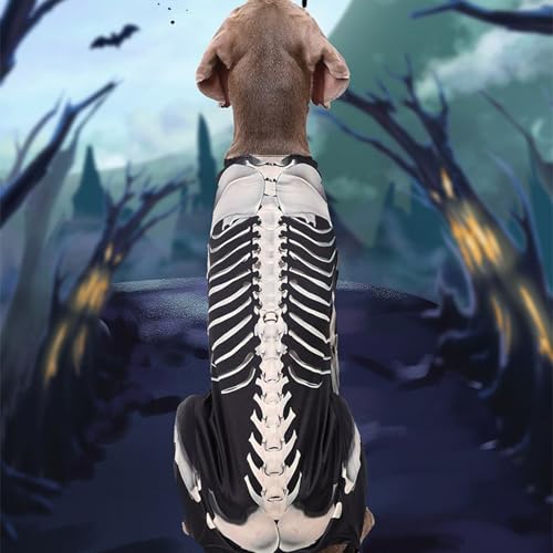 Syengery Hundekostüme Halloween | Skelett Kostüm Für Hunde - Haustier Halloween Bodysuit Für Outdoor Freunde Cosplay Reisen Feste Fotos Syengery Hundekostüme Halloween | Skelett Kostüm Für Hunde - Haustier Halloween Bodysuit Für Outdoor Freunde Cosplay Reisen Feste Fotos von Syengery