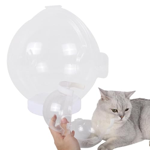 Syengery Katzenmaulkorb für die Fellpflege,Maulkorb für die Katzenpflege - Transparente verstellbare Katzenhaube | Runder Maulkorb für Haustiere, Katzen-Astronauten-Maulkorb zum Krallenschneiden, Syengery Katzenmaulkorb für die Fellpflege,Maulkorb für die Katzenpflege - Transparente verstellbare Katzenhaube | Runder Maulkorb für Haustiere, Katzen-Astronauten-Maulkorb zum Krallenschneiden, von Syengery