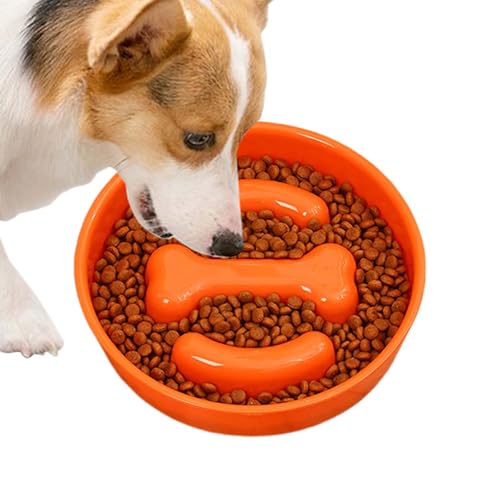 Syengery Langsame Feeder -Hundeschalen, langsame Hundefutteranlage | Hundefutter langsame Feeder Bowl,Knochenform interaktiver erhöhter Verschüttungsbeweis Nicht -Slip für Heimtraining Mental von Syengery