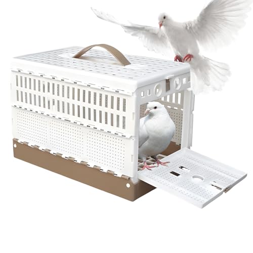 Syengery Nymphensittich Käfig - Fluchtsicherer Zusammenklappbarer Käfig - Vogel Papageientransporter Nest - Zur Verwendung Im Freien Unterwegs Bei Domestizierung Syengery Nymphensittich Käfig - Fluchtsicherer Zusammenklappbarer Käfig - Vogel Papageientransporter Nest - Zur Verwendung Im Freien Unterwegs Bei Domestizierung von Syengery