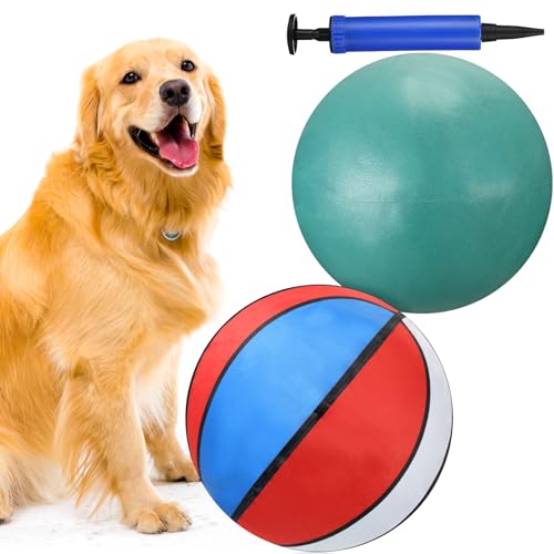 Syhood Riesiges Hundeball-Set mit 24,8 cm (9,8 Zoll), inklusive 1 robuster Hundespielzeug-Ball, 1 flauschiger Basketball-Stil, 1 Inflator, Hüpfball für Hunde, Pferde, Spielen im Freien, Langeweile, von Syhood