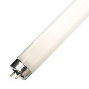 Sylvania Dayljghtstar T8 36 watt Sylvania Dayljghtstar T8 36 watt von Sylvania