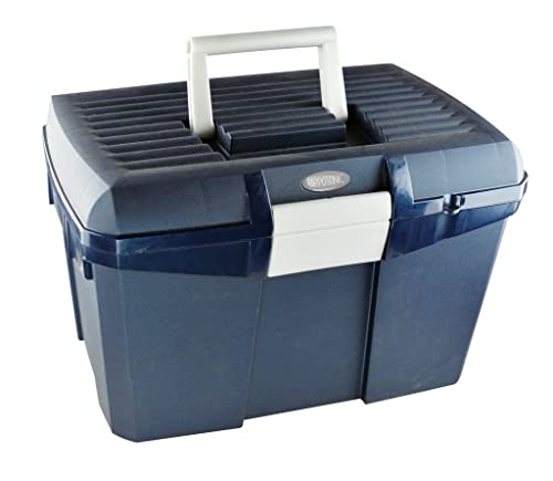 Norton Schachtel für Wurzelkardätsche , Marine/gris, Taille L 40 x l 27,5 x h 24,5 cm von Symantec