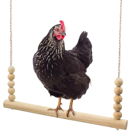Hühnerschaukel-Spielzeug, natürliche Hühner-Vogelschaukeln aus Holz mit Holzperlen, Hühnerstall-Zubehör mit Holzständer für Geflügelauslauf, Hahn, Hennen, Küken, Haustierpapageien von Symphonyw
