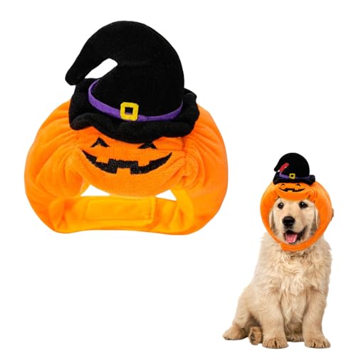 Symphonyw Halloween Kostüm für Katzen und kleine Hunde: Kürbis Hut, Orange, Polyester, 9x37 cm, Unisex, Klettverschluss, Halloween-Party, Fotoshooting, Geschenk von Symphonyw