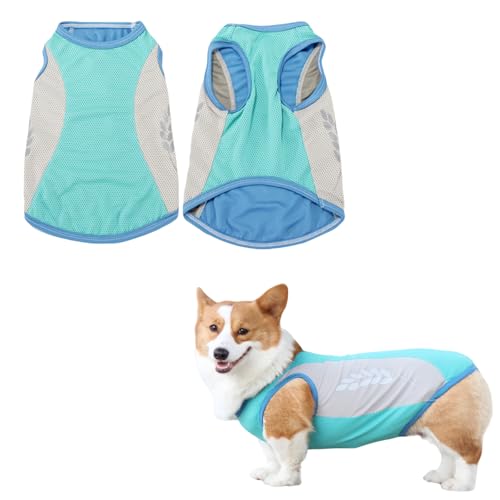 Hunde Kühlweste, Sommer Sicheres Atmungsaktives Haustier T-Shirt, UV-Schutz Haustier Ärmellose Weste Kleidung für Kleine Mittel Hunde Katze Haustier (Grün, 8XL) von Symphonyw