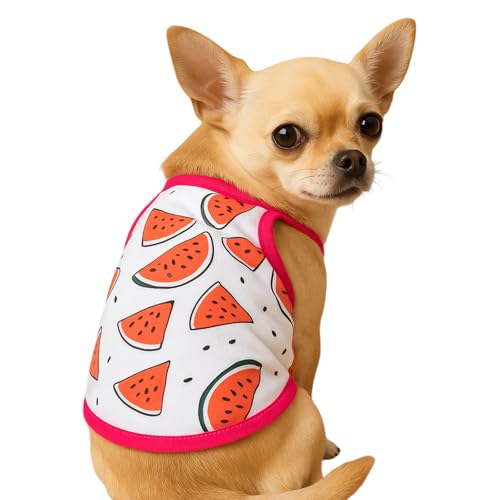 Hundekleid für kleine Hunde, Sommer Ärmellose Weste Hund T-Shir, Atmungsaktives Haustier Partykleidung für Welpen, Katzen und Haustiere (B, L) von Symphonyw