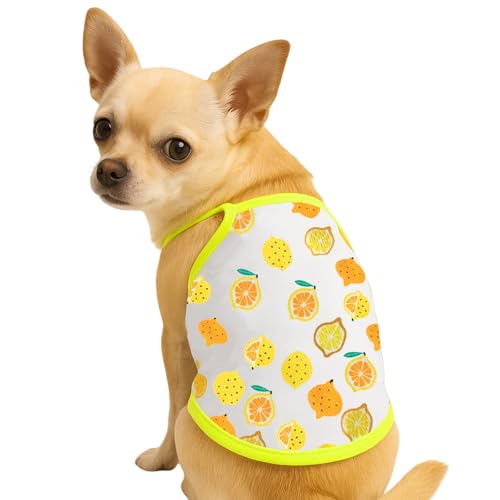 Hundekleid für kleine Hunde, Sommer Ärmellose Weste Hund T-Shir, Atmungsaktives Haustier Partykleidung für Welpen, Katzen und Haustiere (C, M) von Symphonyw