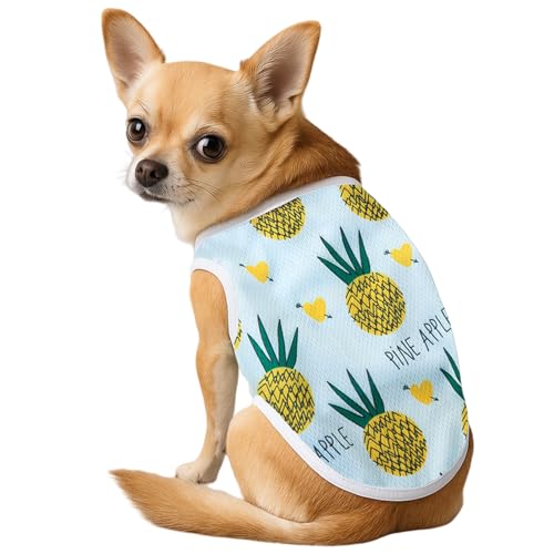 Hundekleid für kleine Hunde, Sommer Ärmellose Weste Hund T-Shir, Atmungsaktives Haustier Partykleidung für Welpen, Katzen und Haustiere (D, XL) von Symphonyw
