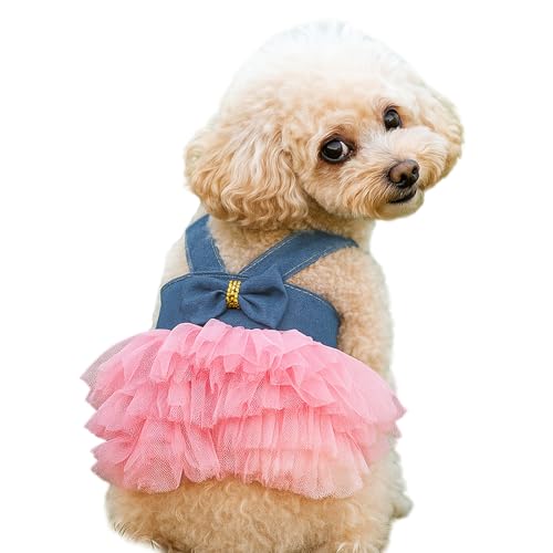 Hundekleider, modische Katzenkleidung mit Prinzessinnen-Schleife, süße Sommeroutfits für Yorkie-Weibchen, Katzenwelpen und kleine Haustiere (Blau, M) von Symphonyw