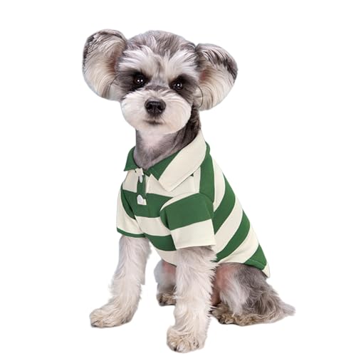 Pet Poloshirt T-Shirt, Gestreifte Atmungsaktive Hunde Shirts, Weiche Sommer Welpen Kleidung Haustier T-Shirt Hundekleidung für kleine Hund Welpen Katze (Grün, M) von Symphonyw