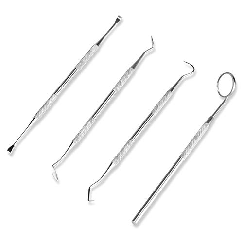 Symphonyw Calculus Stainless Steel Dog Remover, Pack of 2 von Symphonyw