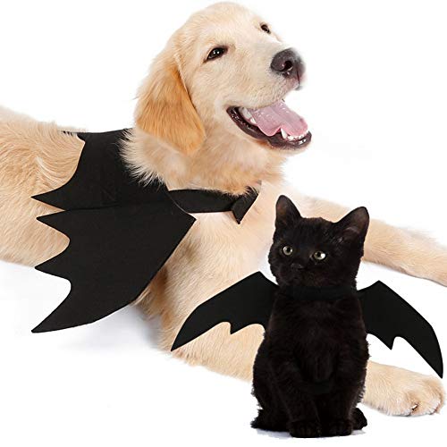 Symphonyw Fledermaus-Flügel, für Hunde und Katzen, Halloween-Kostüm, Fledermausflügel, Kostüm, Größe M von Symphonyw