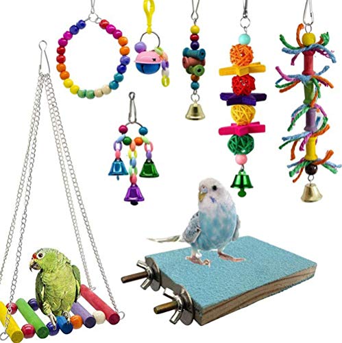 Symphonyw Vogelspielzeug, 8 Stück, buntes Vogelspielzeug für Papageien, Sittiche, Nymphensittiche, Aras, Liebesvögel von Symphonyw