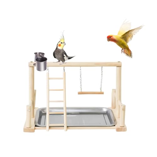 Vogel Spielplatz, Holz Wellensittich Spielplatz Freisitz mit 2 Edelstahl Feeder-Cup Spielzeug Leiter und Tablett, Papageien-Spielständer Sitzstange für Nymphensittich Papageien Wellensittiche (A) von Symphonyw