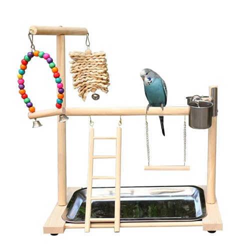 Vogel Spielplatz, Holz Wellensittich Spielplatz Freisitz mit 2 Edelstahl Feeder-Cup Spielzeug Leiter und Tablett, Papageien-Spielständer Sitzstange für Nymphensittich Papageien Wellensittiche (B) von Symphonyw