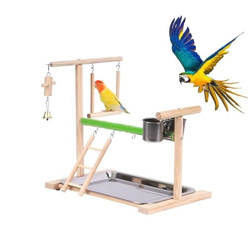 Vogel Spielplatz, Holz Wellensittich Spielplatz Freisitz mit 2 Edelstahl Feeder-Cup Spielzeug Leiter und Tablett, Papageien-Spielständer Sitzstange für Nymphensittich Papageien Wellensittiche (C) von Symphonyw