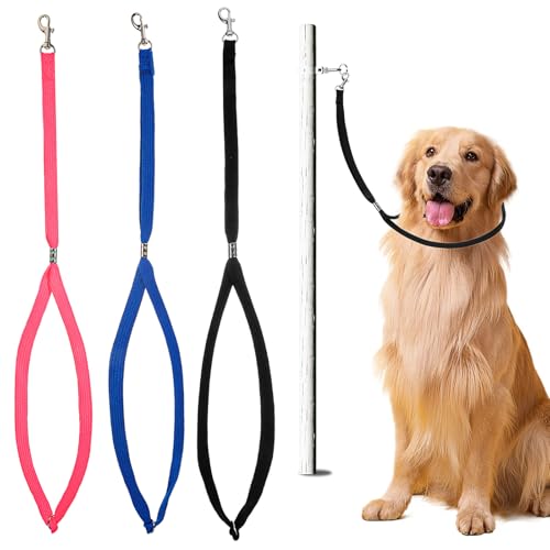 3 x Fellpflegeschlaufe für Hunde, verstellbare Fellpflegeleine, Nylon-Halteschlinge, Fellpflege-Helfer, Hundeleine, verstellbar, fest, Sicherheitsseil für Haustierpflege, Tisch, Badewanne, 3 x Fellpflegeschlaufe für Hunde, verstellbare Fellpflegeleine, Nylon-Halteschlinge, Fellpflege-Helfer, Hundeleine, verstellbar, fest, Sicherheitsseil für Haustierpflege, Tisch, Badewanne, von SynHHergyx