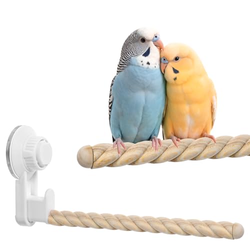 Vogelduschstange mit Saugnapf, Naturholz, Papageienfenster, Ständer, tragbarer Schleifstab, Trainingsspielzeug, Wand, Bad, Auto, Reiseständer für kleine und mittelgroße Vögel Vogelduschstange mit Saugnapf, Naturholz, Papageienfenster, Ständer, tragbarer Schleifstab, Trainingsspielzeug, Wand, Bad, Auto, Reiseständer für kleine und mittelgroße Vögel von SynHHergyx