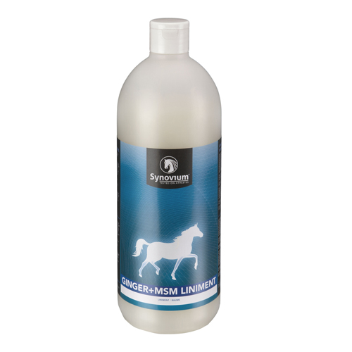 Synovium Ginger MSM Liniment - 1 Liter Synovium Ginger MSM Liniment - 1 Liter von Synovium