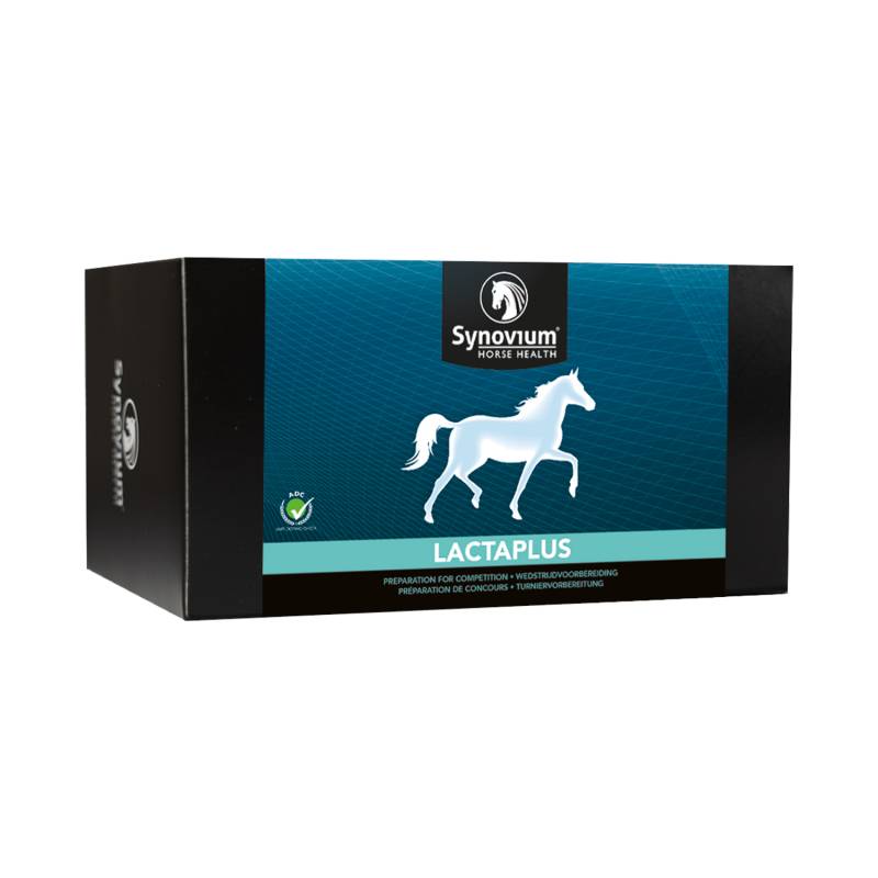 Synovium Lactaplus - 6 x 40 g Synovium Lactaplus - 6 x 40 g von Synovium