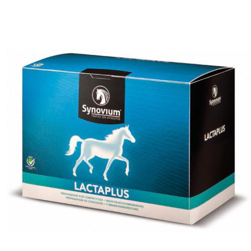 Synovium Lactaplus - 6 x 40 g von Synovium