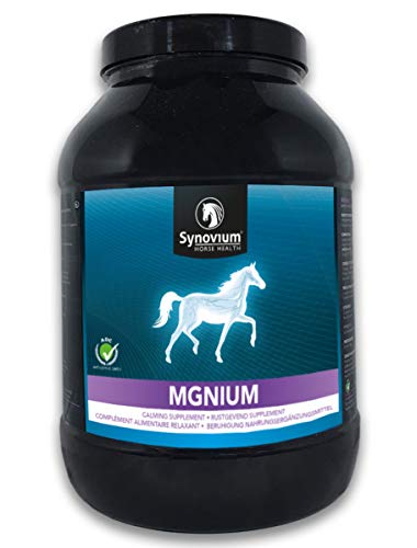 Mgnium - 1,5 kg - Ergänzungsfuttermittel (fördert die Konzentration und Wird zur Pflege stark belasteter Muskeln verwendet) (1500 Gramm) von SYNOVIUM