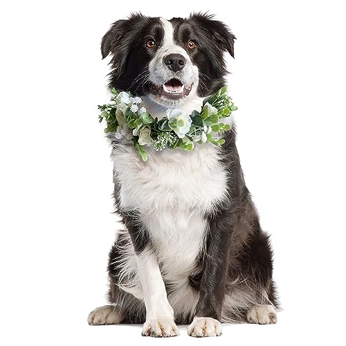 Sysmashing Hundehalsband für Hochzeiten, Blumenhalsband, Rosenblumenkrone, Blumenkrone, Hochzeitshalsband, für Hochzeiten, Blumenring, Haustiere, Katzen und Hunde, Haustier-Foto-Requisite. Sysmashing Hundehalsband für Hochzeiten, Blumenhalsband, Rosenblumenkrone, Blumenkrone, Hochzeitshalsband, für Hochzeiten, Blumenring, Haustiere, Katzen und Hunde, Haustier-Foto-Requisite. von Sysmashing