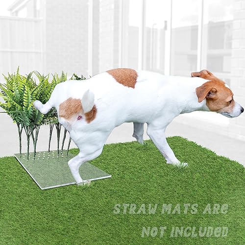 Sysmashing Künstliche Graspflanzen für Hunde zum Urinieren, führen männliche Hunde zum Urin und verhindern, dass Urin überall spritzt, einfach zu installieren und zu reinigen (persisches Gras) von Sysmashing