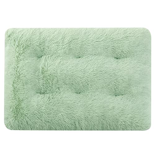 Sytaun Selbstwärmendes Hundebett, Katzenbett, Hundekissen, einfarbig, hält warm, weiche Textur, verdickte Katze, Hunde, Schlafmatte, für den Innenbereich, Schlafbett, Hunde und Katzen, Minzgrün, M Sytaun Selbstwärmendes Hundebett, Katzenbett, Hundekissen, einfarbig, hält warm, weiche Textur, verdickte Katze, Hunde, Schlafmatte, für den Innenbereich, Schlafbett, Hunde und Katzen, Minzgrün, M von Sytaun
