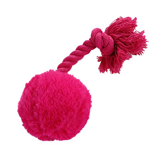 Sytaun Weicher Quietschball für Welpen, mit Quietschelement, lustiges Spielzeug, zufällige Farbe von Sytaun