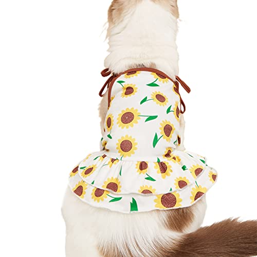 Sytaun Welpenkleid, hohe Elastizität, waschbar, atmungsaktiv, Geburtstags-Hundekleid, Prinzessinnenrock für Zuhause, Braun, Größe XL Sytaun Welpenkleid, hohe Elastizität, waschbar, atmungsaktiv, Geburtstags-Hundekleid, Prinzessinnenrock für Zuhause, Braun, Größe XL von Sytaun