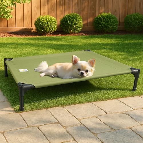 Sytopia Erhöhtes Hundebett für Hunde, Größe M, Grün von Sytopia