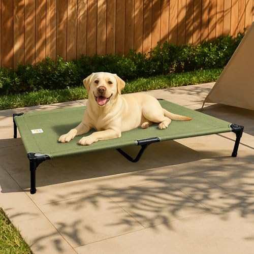 Sytopia Erhöhtes Hundebett für Hunde, groß, Grün von Sytopia