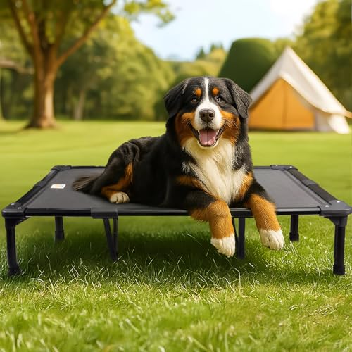 Sytopia Erhöhtes Hundebett für extra große Hunde, kaufestes Haustierbett mit kühlendem Netz, stabiler Aluminiumrahmen, rutschfeste Füße, wasserdichtes Design, ideal für drinnen und draußen, 119 cm Sytopia Erhöhtes Hundebett für extra große Hunde, kaufestes Haustierbett mit kühlendem Netz, stabiler Aluminiumrahmen, rutschfeste Füße, wasserdichtes Design, ideal für drinnen und draußen, 119 cm von Sytopia