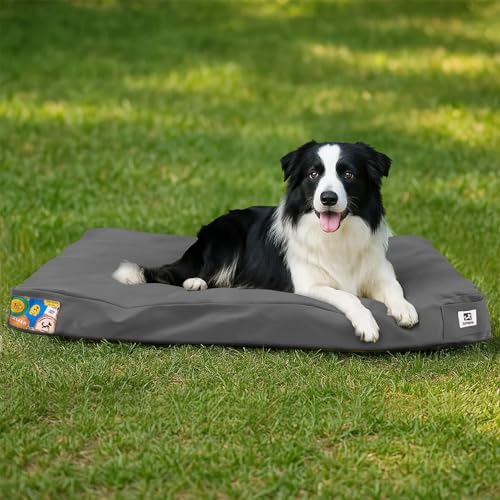 Sytopia Hundebett aus Segeltuch, 91,4 cm, kaufest, wasserdicht und waschbar, mit abnehmbarem Bezug, ideal für mittelgroße und große Hunde, ideal für drinnen, draußen, Käfig oder Terrasse, Dunkelgrau von Sytopia