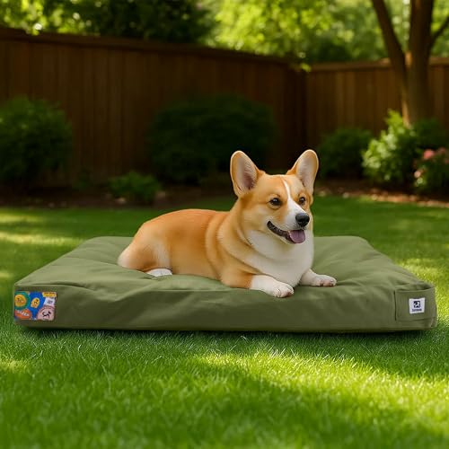 Sytopia Hundebett aus Segeltuch für mittelgroße Hunde, 76,2 cm, strapazierfähig, wasserdicht, kaufest und waschbar, abnehmbarer Bezug, ideal für Käfige, Terrasse, Indoor- und Outdoor-Abenteuer (Grün) von Sytopia
