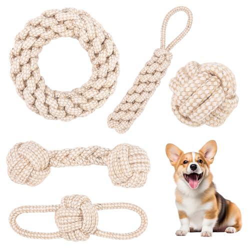 5 Stück Hundespielzeug Seil,Seilspielzeug für Kleine Hunde,Hundespielzeug Seil mit Knoten Ball,Geflochtene Hundeseile Spielzeug aus Baumwolle & Hanf,Baumwolle Interaktives Kauspielzeug für Welpen, Kle von Syvory