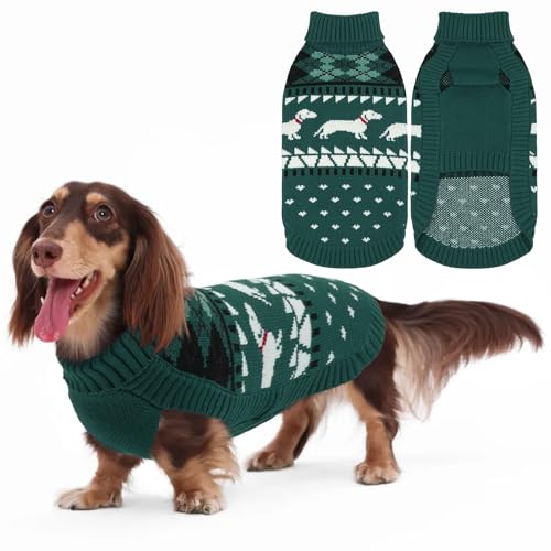 Herbstpullover mit Rollkragenpullover, Mini-Dackelpullover für Hunde, Halloween-Strickjacke, Dackel-Weste, Pullover für kleine Hunde, Pullover für Mädchen, Jungen, Welpen, Weenie-Outfit für Hündinnen Herbstpullover mit Rollkragenpullover, Mini-Dackelpullover für Hunde, Halloween-Strickjacke, Dackel-Weste, Pullover für kleine Hunde, Pullover für Mädchen, Jungen, Welpen, Weenie-Outfit für Hündinnen von T'CHAQUE