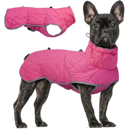 Hundejacken für den Winter, kleine Hundejacke mit Kapuze, winddichter Hundemantel mit Schnalle Hundejacken für den Winter, kleine Hundejacke mit Kapuze, winddichter Hundemantel mit Schnalle von T'CHAQUE