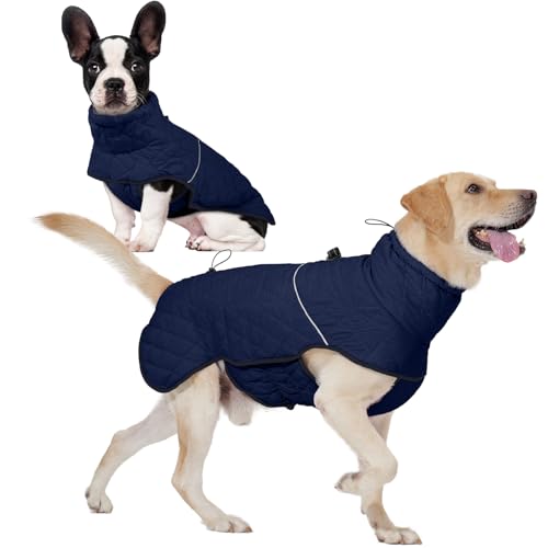 Hundejacken für den Winter, kleine Hundejacke mit Kapuze, winddichter Hundemantel mit Schnalle Hundejacken für den Winter, kleine Hundejacke mit Kapuze, winddichter Hundemantel mit Schnalle von T'CHAQUE