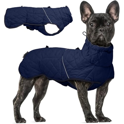 Hundejacken für den Winter, kleine Hundejacke mit Kapuze, winddichter Hundemantel mit Schnalle Hundejacken für den Winter, kleine Hundejacke mit Kapuze, winddichter Hundemantel mit Schnalle von T'CHAQUE