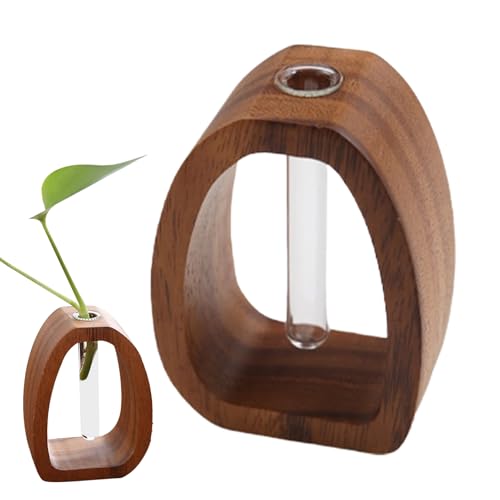 Pflanzen-Terrarium – Hydrokultur- -Pflanzgefäß mit Holzständer, modernes Wurzelvasen-Set, Desktop-Anzuchtstation, minimalistischer Blumenvasenhalter, Heimpflanzendekoration von TABSIRAH