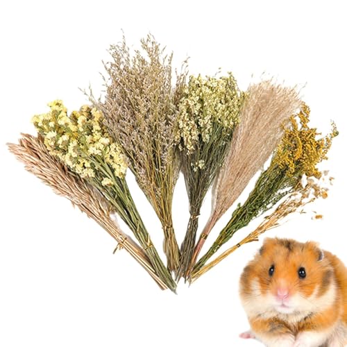 TABSIRAH Blumenhamster-Bettwäsche – natürliche Themenkäfig-Dekoration, Blumenhamster-Bettwäsche Käfigzubehör – Kleintierblumen-Lebensraum- für Rennmäuse TABSIRAH Blumenhamster-Bettwäsche – natürliche Themenkäfig-Dekoration, Blumenhamster-Bettwäsche Käfigzubehör – Kleintierblumen-Lebensraum- für Rennmäuse von TABSIRAH