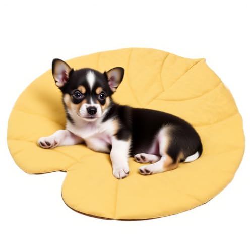 TABSIRAH Haustier-Wassermatte, Blätterform, Kühldecke für Katzen, doppelseitig isoliert, Katzenunterlage für Camping, Balkon, Hof, Wohnung, Reisen, Wohnzimmer, Auto, Outdoor, Schlafzimmer TABSIRAH Haustier-Wassermatte, Blätterform, Kühldecke für Katzen, doppelseitig isoliert, Katzenunterlage für Camping, Balkon, Hof, Wohnung, Reisen, Wohnzimmer, Auto, Outdoor, Schlafzimmer von TABSIRAH