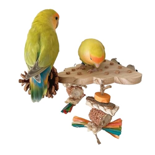 TABSIRAH Vogel-Kauspielzeug – Papageien-Kauspielzeug aus Holz – Papageienbrett Tannenzapfen Spielzeug – natürliches Futterkauspielzeug – interaktives Vogel-Kauspielzeug, Barsch-Spielzeug, TABSIRAH Vogel-Kauspielzeug – Papageien-Kauspielzeug aus Holz – Papageienbrett Tannenzapfen Spielzeug – natürliches Futterkauspielzeug – interaktives Vogel-Kauspielzeug, Barsch-Spielzeug, von TABSIRAH
